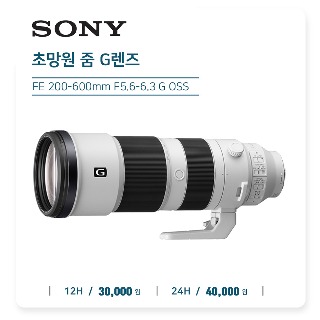 SONY FE 200-600mm F5.6-6.3 G